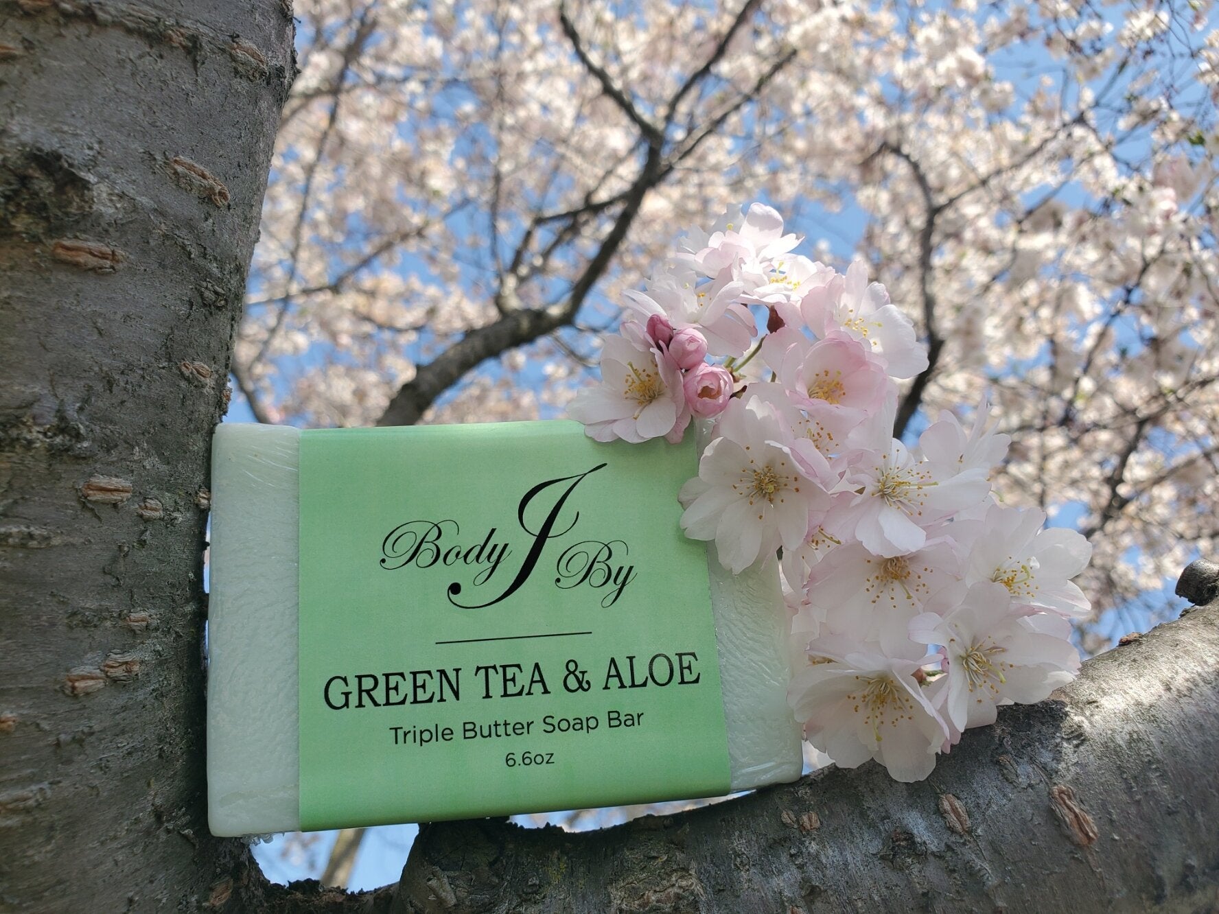 Green Tea and Aloe Triple Butter Soap Bar - Body By J