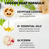 Tahitian Treat Egyptian Loofah Bar Soap - Body By J