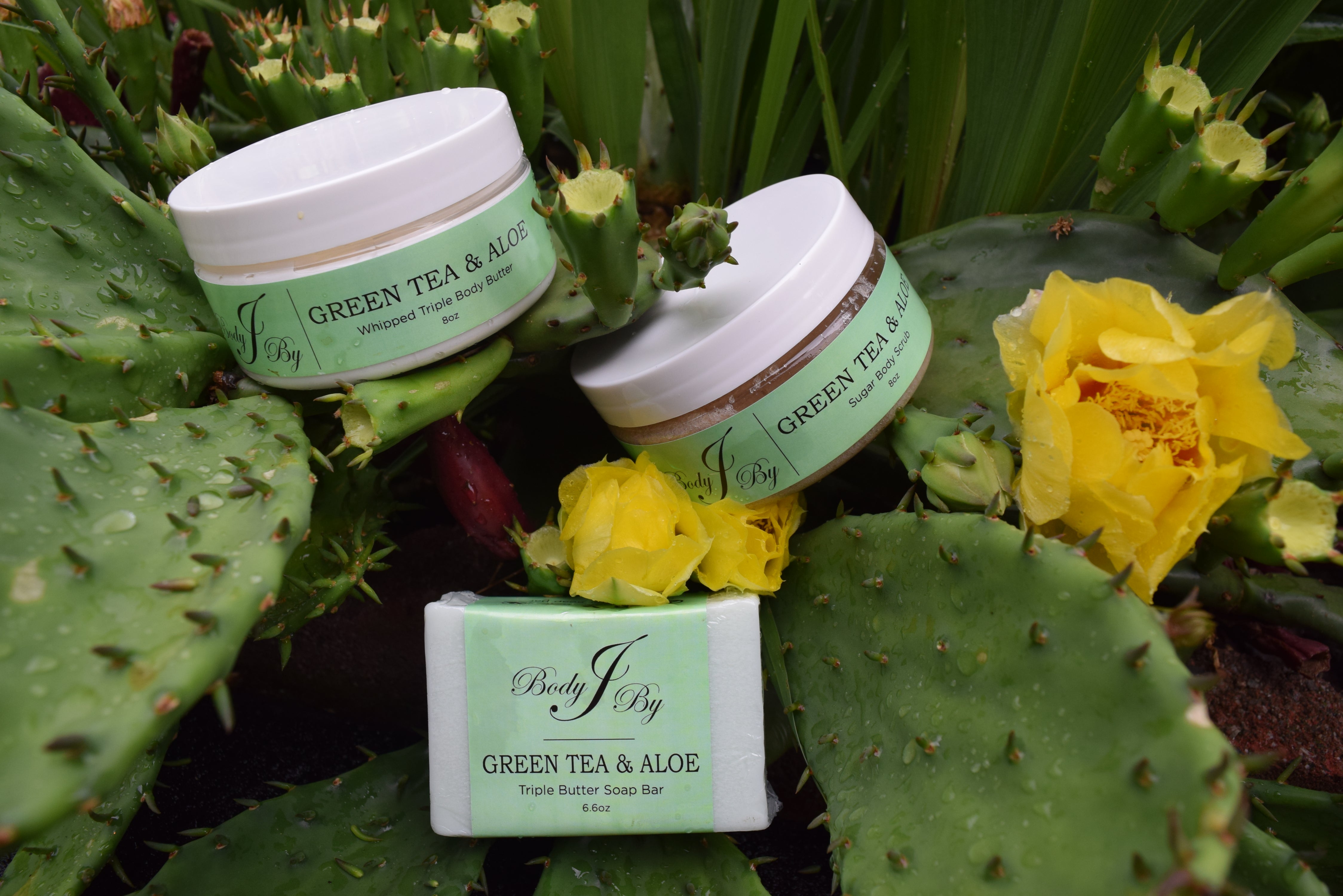 Green Tea and Aloe Skincare System - Body By J